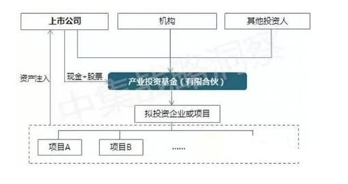 PE與上市公司合作發起設立產業并購基金的模式解析——以基礎軟件服務行業為例